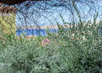 Appartamento moderno in locazione a Cala del Faro